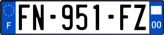 FN-951-FZ