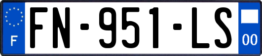 FN-951-LS