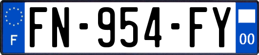 FN-954-FY