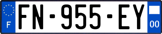 FN-955-EY