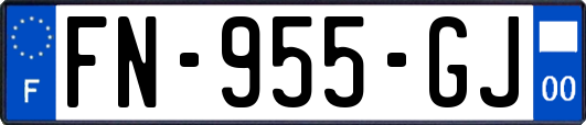FN-955-GJ