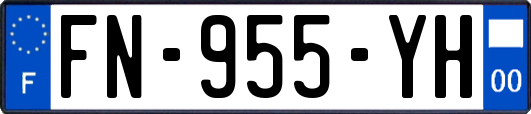 FN-955-YH