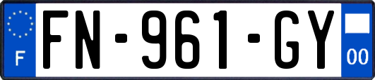 FN-961-GY