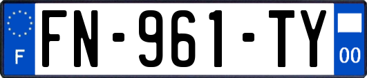FN-961-TY