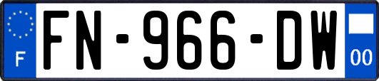 FN-966-DW