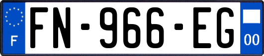 FN-966-EG