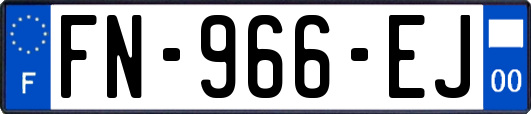 FN-966-EJ