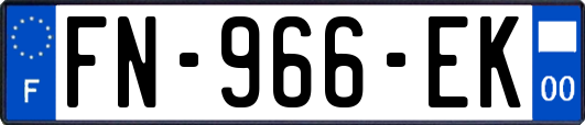 FN-966-EK