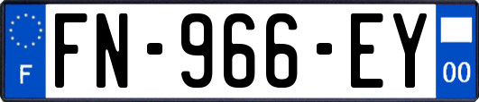 FN-966-EY