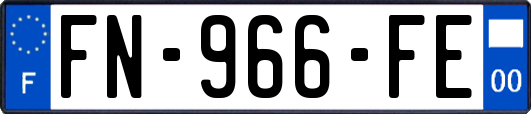 FN-966-FE