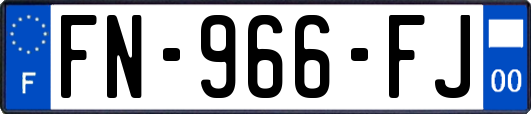 FN-966-FJ