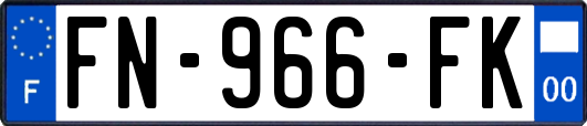 FN-966-FK