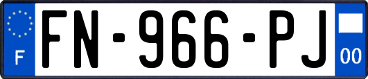 FN-966-PJ