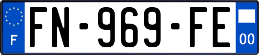 FN-969-FE