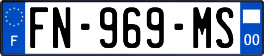 FN-969-MS