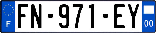 FN-971-EY