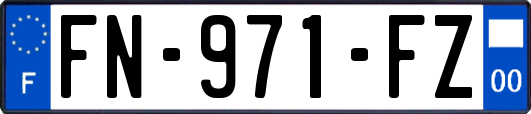 FN-971-FZ