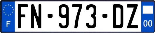FN-973-DZ