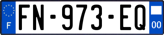 FN-973-EQ