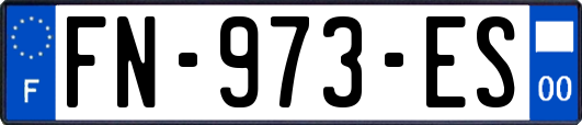 FN-973-ES