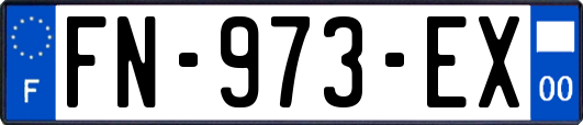 FN-973-EX