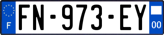 FN-973-EY