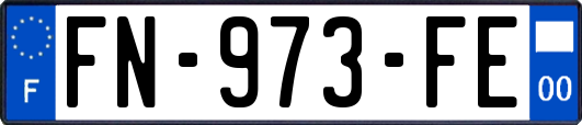FN-973-FE