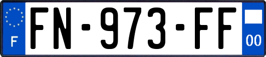 FN-973-FF