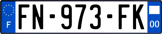 FN-973-FK
