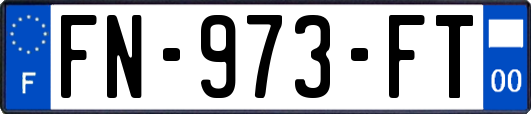 FN-973-FT