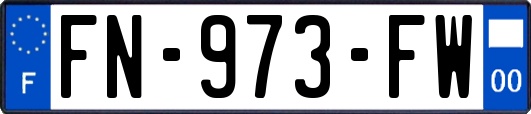 FN-973-FW