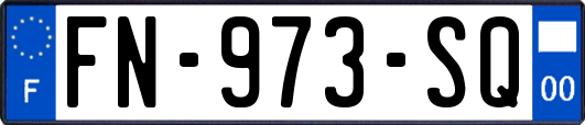 FN-973-SQ