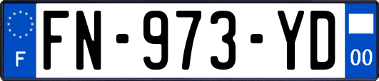 FN-973-YD