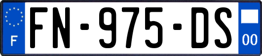 FN-975-DS