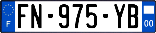 FN-975-YB