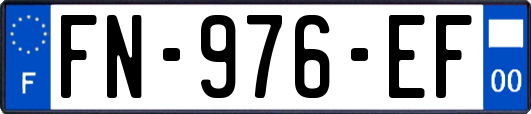 FN-976-EF