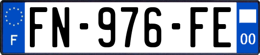 FN-976-FE