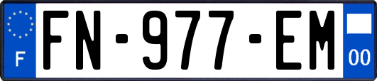 FN-977-EM