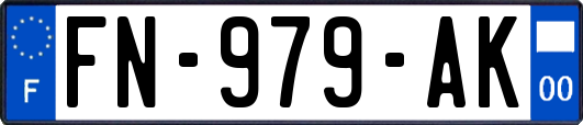 FN-979-AK