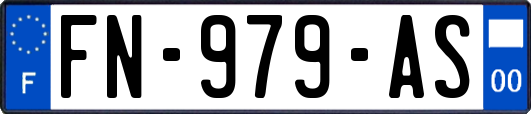 FN-979-AS