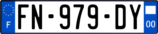 FN-979-DY