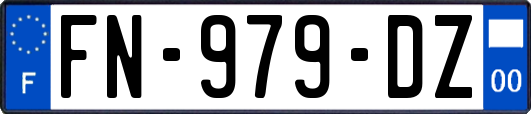 FN-979-DZ