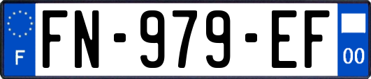 FN-979-EF