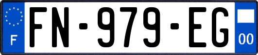FN-979-EG