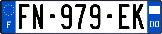 FN-979-EK
