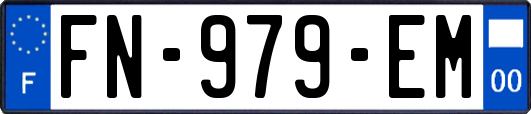 FN-979-EM