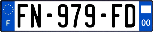 FN-979-FD