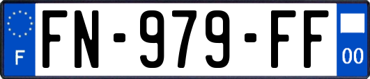 FN-979-FF
