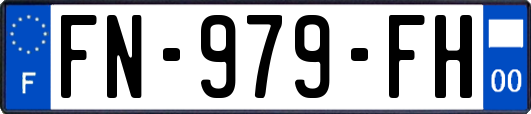 FN-979-FH
