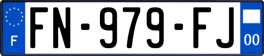 FN-979-FJ